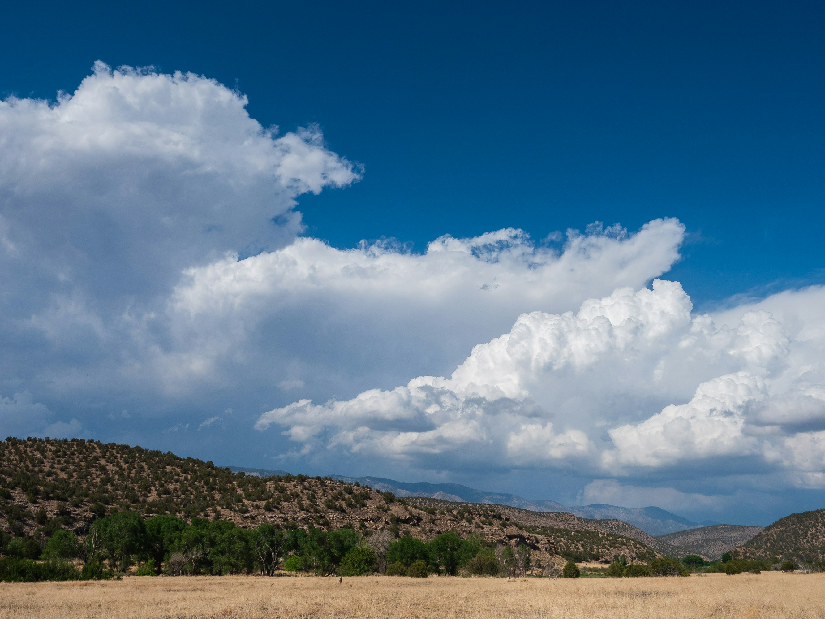 green grass field under white clouds and blue sky during daytime